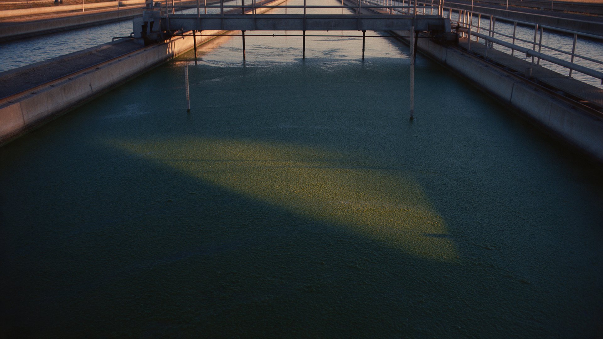 The Pond With The Worst Light